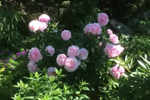 482 Back Rd, Shapleigh, ME 04076 - Photo 82