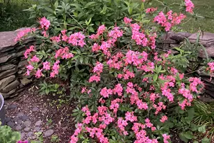 482 Back Rd, Shapleigh, ME 04076 - Photo 76