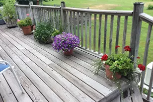 482 Back Rd, Shapleigh, ME 04076 - Photo 64