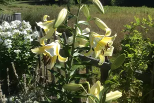 482 Back Rd, Shapleigh, ME 04076 - Photo 80