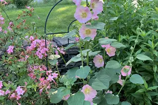 482 Back Rd, Shapleigh, ME 04076 - Photo 76