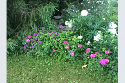 482 Back Road, Shapleigh, ME 04076 - Photo 80