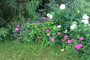 482 Back Rd, Shapleigh, ME 04076 - Photo 80