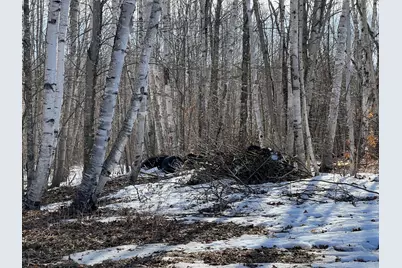 200 Clark Road, Patten, ME 04765 - Photo 12