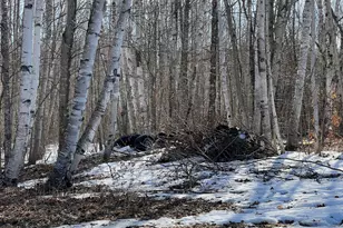 200 Clark Rd, Patten, ME 04765 - Photo 12