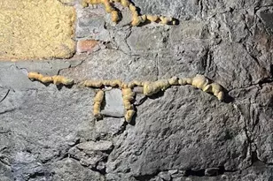 27 Swan St, Calais, ME 04619 - Photo 62