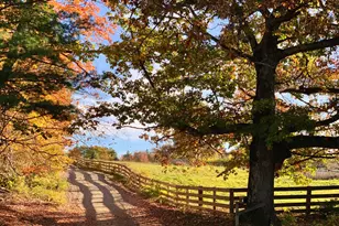 51 Flaggy Meadow Rd, Gorham, ME 04038 - Photo 50