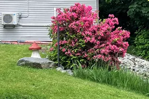 177 Buck St, Bangor, ME 04401 - Photo 14