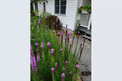 56 Durham Road, Brunswick, ME 04011 - Photo 14