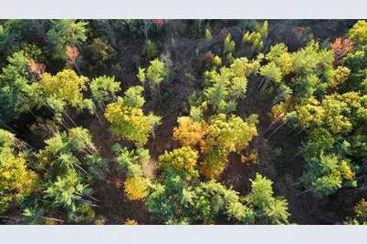 Lot 16 (1) Whittier Road, Farmington, ME 04938 - Photo 2