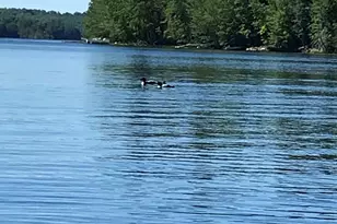 43 Luckman Dr, Saint Albans, ME 04971 - Photo 4