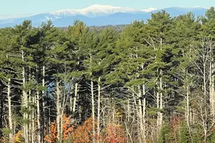 288 Mayberry Hill Rd, Casco, ME 04015 - Photo 52