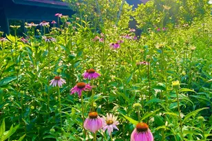 334 Johnson Rd, Auburn, ME 04210 - Photo 64