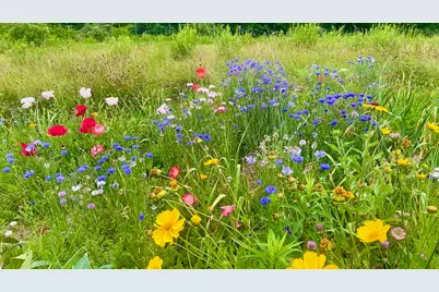 334 Johnson Road, Auburn, ME 04210 - Photo 58