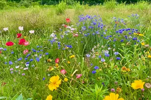 334 Johnson Rd, Auburn, ME 04210 - Photo 58