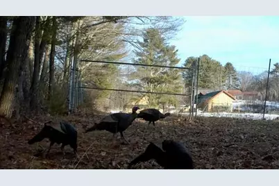 334 Johnson Road, Auburn, ME 04210 - Photo 58