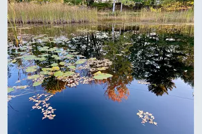 334 Johnson Road, Auburn, ME 04210 - Photo 6