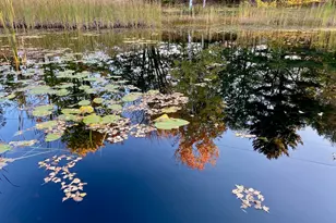 334 Johnson Rd, Auburn, ME 04210 - Photo 6