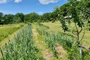 334 Johnson Rd, Auburn, ME 04210 - Photo 52