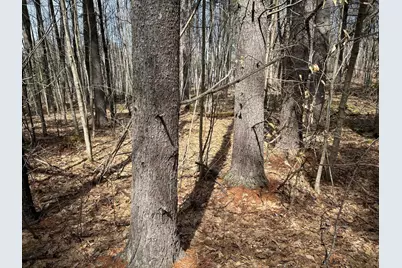 704 Cedar Grove Road, Dresden, ME 04342 - Photo 82