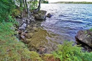 803 Chadwick Pt Rd, Weston, ME 04424 - Photo 4