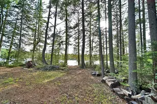 803 Chadwick Pt Rd, Weston, ME 04424 - Photo 114