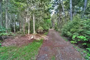 803 Chadwick Pt Rd, Weston, ME 04424 - Photo 66