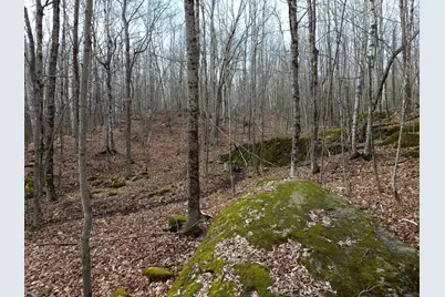 62 Grove Street, Dexter, ME 04930 - Photo 1