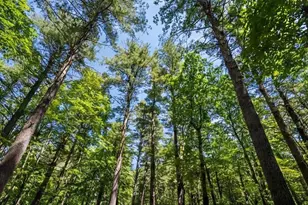 631 Johnson Hill Rd, Poland, ME 04274 - Photo 46