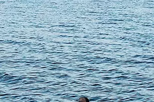 28 Moose Crk Dr, Newport, ME 04953 - Photo 12