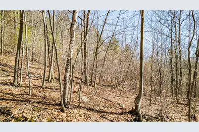 0 King Street/Benny Babb Hill Road, Hiram, ME 04041 - Photo 2