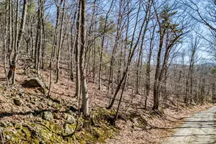 0 King Street/Benny Babb Hill Rd, Hiram, ME 04041 - Photo 1