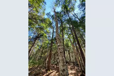 0 Cody Way, Lakeville, ME 04487 - Photo 26