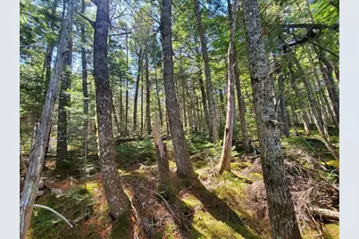 0 Cody Way, Lakeville, ME 04487 - Photo 40