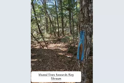 0 Cody Way, Lakeville, ME 04487 - Photo 16