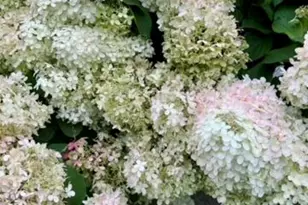 43 Darling Parke Dr, Bangor, ME 04401 - Photo 104