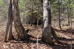 247 Ellis River Rd, Rumford, ME 04276 - Photo 6