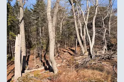 0 Balsam Lane, Mount Desert, ME 04660 - Photo 10