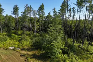 286 Lexington Rd, Kingfield, ME 04947 - Photo 60