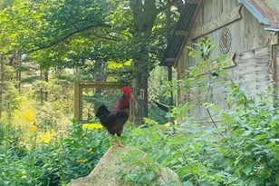 286 Lexington Rd, Kingfield, ME 04947 - Photo 24