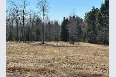 Lot #0 Morgan Bay Road, Surry, ME 04684 - Photo 8