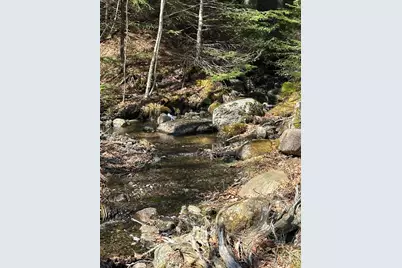 Lot #0 Morgan Bay Road, Surry, ME 04684 - Photo 14