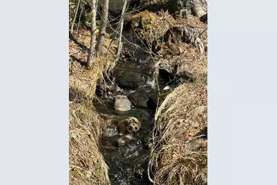 Lot #0 Morgan Bay Road, Surry, ME 04684 - Photo 2