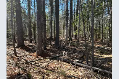 Lot #146 Laurel Shore Drive, Harpswell, ME 04079 - Photo 6