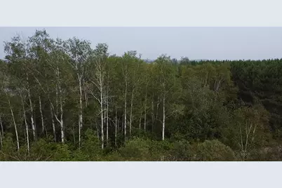 M48L15/16 US Rt 1, Grand Isle, ME 04746 - Photo 12