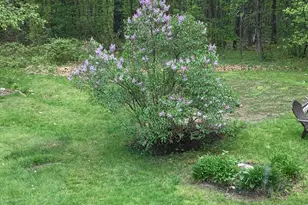 235 Ossipee Hill Rd, Waterboro, ME 04030 - Photo 4