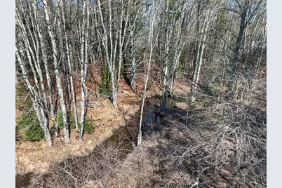 Lot 00000 117 Route, Hollis, ME 04042 - Photo 10