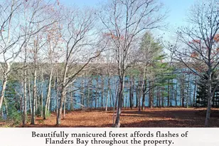 313 East Side Rd, Sorrento, ME 04677 - Photo 74