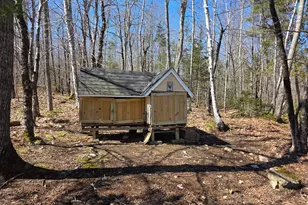 140 Bog Rd, Northport, ME 04849 - Photo 44