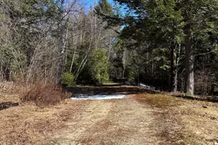2 Bog Brook Loop, West Paris, ME 04289 - Photo 1